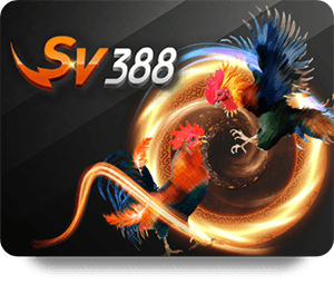 Top Chiến Thuật Đặt Cược 1xBet Bóng Đá VIP Thành Công